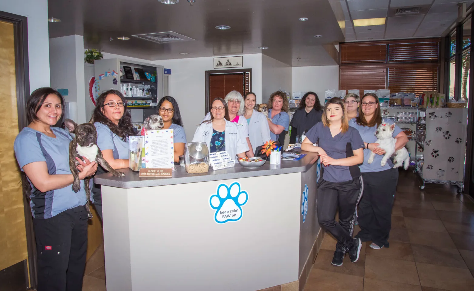 Staff members in the lobby at Camelwest Animal Hospital.